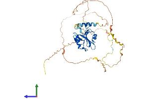 Protein Structure (PS) image for SH2 Domain Protein 2A (SH2D2A) (AA 1-374) protein (His tag) (ABIN7561750)