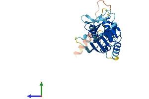 Protein Structure (PS) image for BTB (POZ) Domain-Containing Protein KCTD4 (KCTD4) (AA 1-259) protein (His tag) (ABIN7561100)