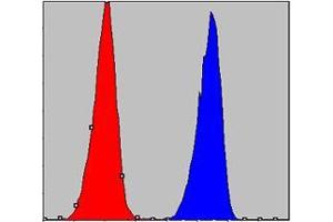 Flow cytometric analysis of A549 cells using CHUK mouse mAb (blue) and negative control (red). (IKK alpha 抗体)