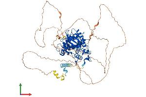 AlphaFold protein structure predicition of Human Recombinant DYRK1A Protein, UniprotID Q13627