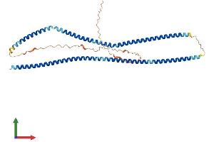 Protein Structure (PS) image for Beaded Filament Structural Protein 2, Phakinin (BFSP2) (AA 1-416) protein (His tag) (ABIN7557956)