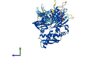AlphaFold protein structure predicition of Human Recombinant HSPA2 Protein, UniprotID P54652