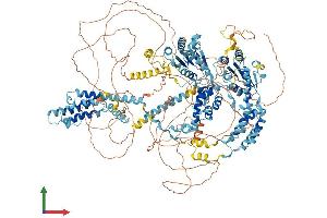 Protein Structure (PS) image for ATPase Family, AAA Domain Containing 2 (ATAD2) (AA 1-1390) protein (His tag) (ABIN7552534)