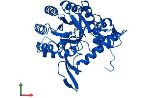 Protein Structure (PS) image for Guanosine Monophosphate Reductase (GMPR) (AA 1-345) protein (His tag) (ABIN7548075)