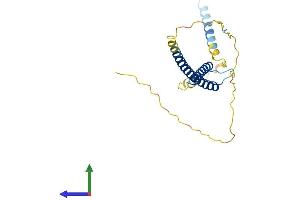 Protein Structure (PS) image for MAX Dimerization Protein 1 (MXD1) (AA 1-221) protein (His tag) (ABIN7549172)
