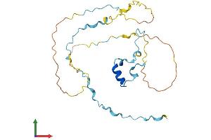 Protein Structure (PS) image for RAD9-HUS1-RAD1 Interacting Nuclear Orphan 1 (RHNO1) (AA 1-238) protein (His tag) (ABIN7551368)