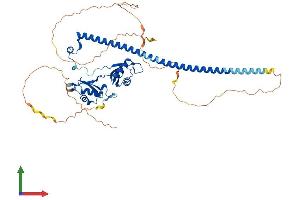 Protein Structure (PS) image for Paraspeckle Component 1 (PSPC1) (AA 1-523) protein (His tag) (ABIN7551081)