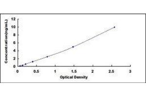 Platelet Derived Growth Factor A (PDGFA) ELISA Kit