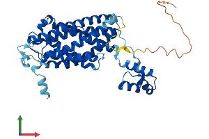 AlphaFold protein structure predicition of Human Recombinant CERS2 Protein, UniprotID Q96G23