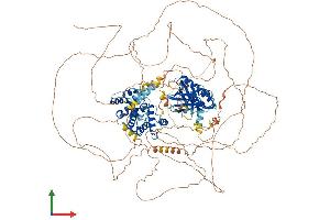 AlphaFold protein structure predicition of Mouse Recombinant Arhgap20 Protein, UniprotID Q6IFT4