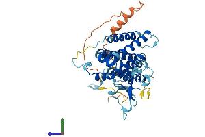AlphaFold protein structure predicition of Mouse Recombinant Fbxo25 Protein, UniprotID Q9D2Y6