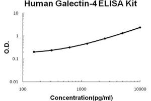 Human Galectin-4 PicoKine ELISA Kit standard curve (GAL4 ELISA 试剂盒)