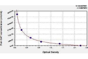 Typical Standard Curve (Catalase ELISA 试剂盒)