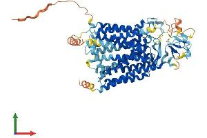 Protein Structure (PS) image for Solute Carrier Organic Anion Transporter Family, Member 2A1 (SLCO2A1) (AA 1-643) protein (His tag) (ABIN7561386)