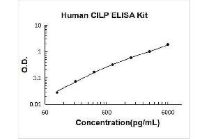 Typical Standard Curve