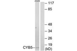 Western Blotting (WB) image for anti-Cytochrome B5 Type A (Microsomal) (CYB5A) (AA 61-110) antibody (ABIN2889983)