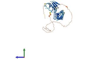 AlphaFold protein structure predicition of Mouse Recombinant Rnf8 Protein, UniprotID Q8VC56