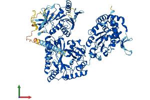 Protein Structure (PS) image for N-Deacetylase/N-Sulfotransferase (Heparan Glucosaminyl) 3 (NDST3) (AA 1-873) protein (His tag) (ABIN7554678)