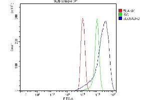 Flow Cytometry analysis of PC-3 cells using anti-SLC9A3R2 antibody (ABIN7599271).