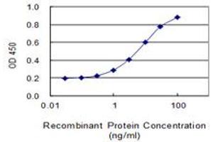 ELISA image for anti-Solute Carrier Family 22 (Organic Cation Transporter), Member 2 (SLC22A2) (AA 261-370) antibody (ABIN2752447)