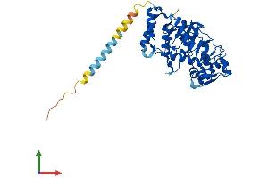 Protein Structure (PS) image for ST8 alpha-N-Acetyl-Neuraminide alpha-2,8-Sialyltransferase 5 (ST8SIA5) (AA 1-376) protein (His tag) (ABIN7546124)