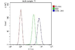 Flow Cytometry analysis of U20S cells using anti-EIF6 antibody (ABIN6719594). (EIF6 抗体  (AA 66-210))