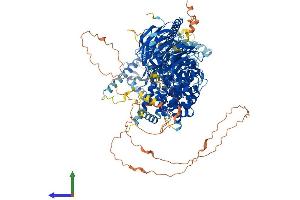 Protein Structure (PS) image for Regulatory Associated Protein of mTOR, Complex 1 (RPTOR) (AA 1-1335) protein (His tag) (ABIN7555266)