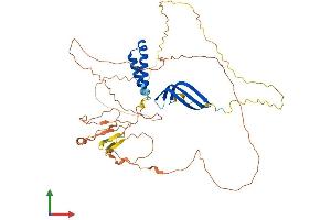 Protein Structure (PS) image for General Transcription Factor IIA, 1-Like (GTF2A1L) (AA 1-478) protein (His tag) (ABIN7544398)