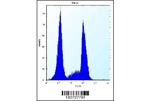 Flow Cytometry (FACS) image for anti-Olfactory Receptor, Family 10, Subfamily G, Member 9 (OR10G9) (AA 211-239), (C-Term) antibody (ABIN5538034)