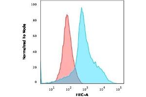 Flow Cytometric Analysis of Jurkat cells using CD40 Ligand Mouse Monoclonal Antibody (CD40LG/2763) followed by goat anti-Mouse IgG-CF488 (Blue); Isotype Control (Red).