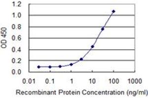 Detection limit for recombinant GST tagged ST13 is 0. (HSC70 Interacting Protein HIP 抗体  (AA 1-58))