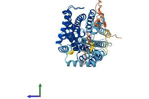 Protein Structure (PS) image for Solute Carrier Family 7 (Amino Acid Transporter Light Chain, Y+L System), Member 7 (Slc7a7) (AA 1-511) protein (His tag) (ABIN7556061)