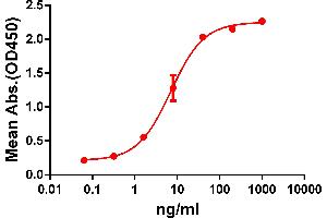 ELISA plate pre-coated by 2 μg/ml (100 μl/well) Human GPRC5D protein, hFc-His tagged protein (ABIN6961124) can bind Rabbit anti-GPRC5D monoclonal antibody (6964057) in a linear range of 1-100 ng/ml. (Recombinant GPRC5D 抗体  (AA 1-27))