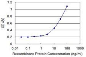 Detection limit for recombinant GST tagged SENP8 is 0. (SENP8 抗体  (AA 113-212))