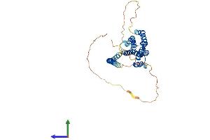 AlphaFold protein structure predicition of Human Recombinant FBXO28 Protein, UniprotID Q9NVF7