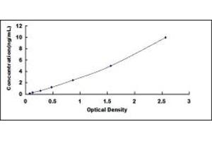 Typical standard curve (HIPK2 ELISA 试剂盒)