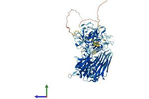 AlphaFold protein structure predicition of Mouse Recombinant Tmprss7 Protein, UniprotID Q8BIK6