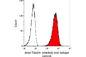 Flow Cytometry (FACS) image for anti-Tubulin, beta (TUBB) (AA 1-50) antibody (ABIN7453995)