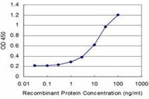 Detection limit for recombinant GST tagged AKAP7 is approximately 1ng/ml as a capture antibody. (AKAP7 抗体  (AA 2-115))