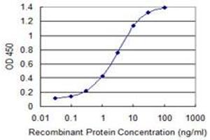 Detection limit for recombinant GST tagged ZBTB6 is 0. (ZBTB6 抗体  (AA 121-220))