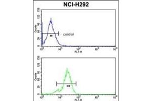 TDG Antibody (N-term) (ABIN390559 and ABIN2840890) flow cytometric analysis of NCI- cells (bottom histogram) compared to a negative control cell (top histogram). (TDG 抗体  (N-Term))