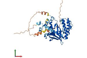 Protein Structure (PS) image for Exonuclease 5 (EXO5) (AA 1-373) protein (His tag) (ABIN7547571)