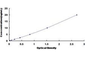Typical standard curve (STH ELISA 试剂盒)