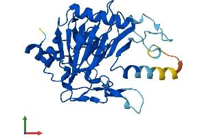 Protein Structure (PS) image for Phytanoyl-CoA Dioxygenase Domain Containing 1 (PHYHD1) (AA 1-291) protein (His tag) (ABIN7561254)
