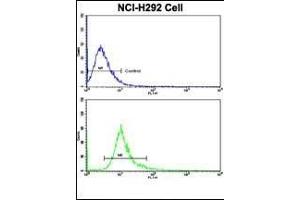 Flow cytometric analysis of NCI- cells using DCXR Antibody (Center)(bottom histogram) compared to a negative control cell (top histogram). (DCXR 抗体  (AA 79-106))