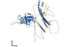 Protein Structure (PS) image for Kinesin Family Member 18A (KIF18A) (AA 1-886) protein (His tag) (ABIN7564797)