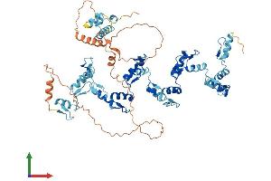 Protein Structure (PS) image for Zinc Finger Protein 567 (104092) (AA 1-647) protein (His tag) (ABIN7545816)