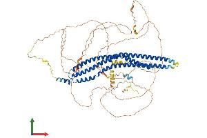 AlphaFold protein structure predicition of Mouse Recombinant Mtss1 Protein, UniprotID Q8R1S4