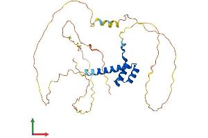 Protein Structure (PS) image for Homeobox C11 (HOXC11) (AA 1-304) protein (His tag) (ABIN7563111)