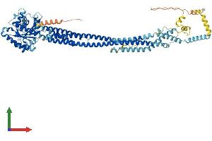 Protein Structure (PS) image for Mitofusin 2 (MFN2) (AA 1-757) protein (His tag) (ABIN7554534)